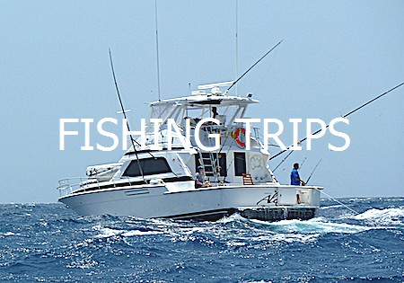 Fishing Trips Curacao